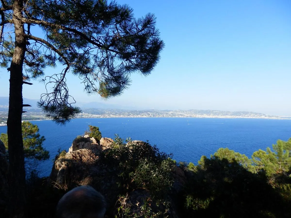 Apartment Esterel Terrasses, Roof Top, Plage, Parking Payant Cannes France