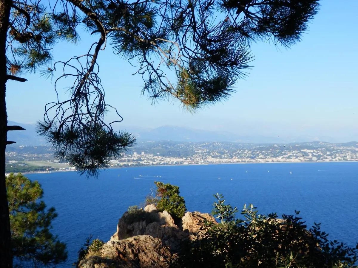 Esterel Terrasses, Roof Top, Plage, Parking Payant Cannes Apartment